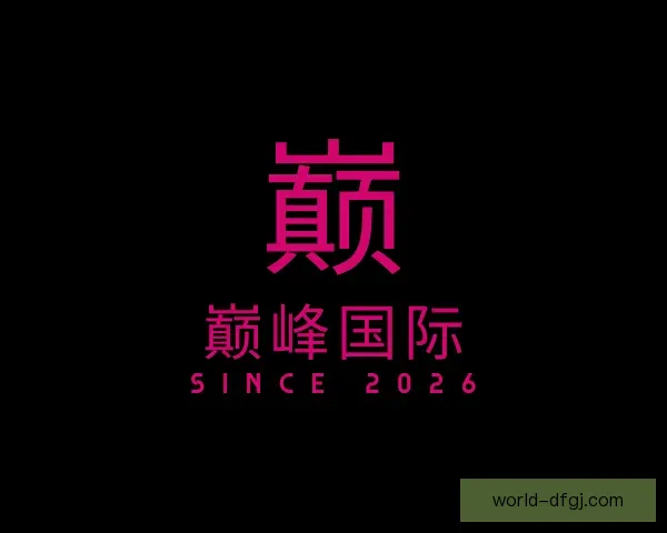 介绍巅峰国际